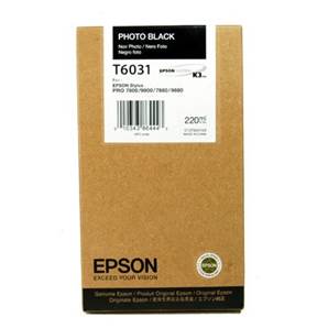 EPSON T603100 - Cartouche Encre Photo Noire - 220 - ml